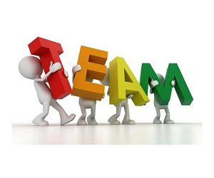 Ingredient 3: Forming a Transitional Team