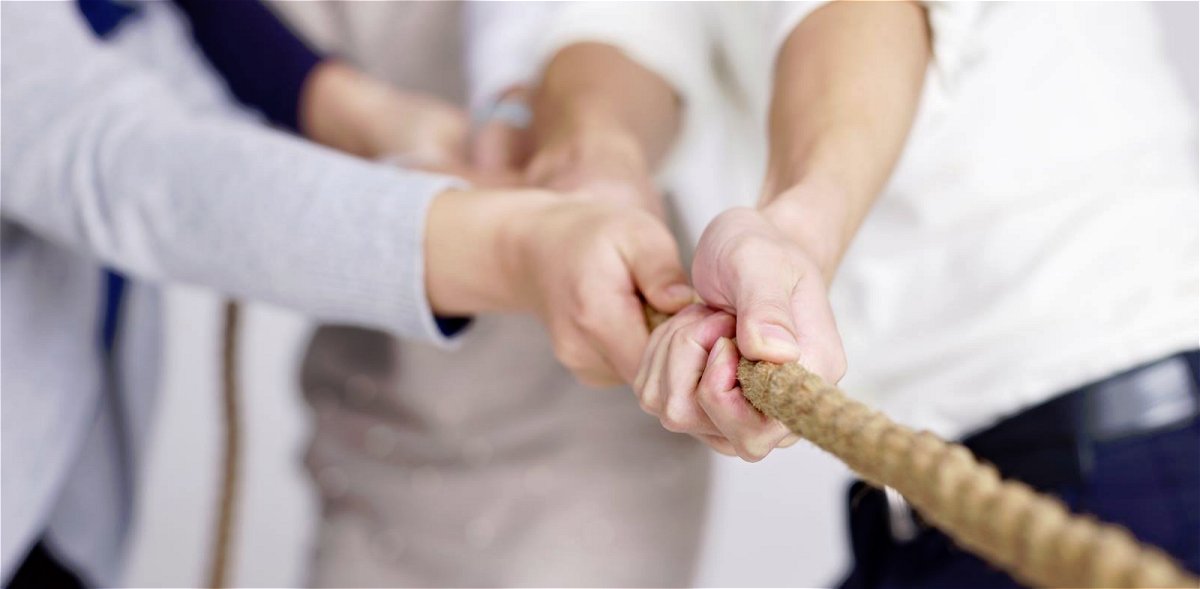 Professional, Practical, Performance, Personalized