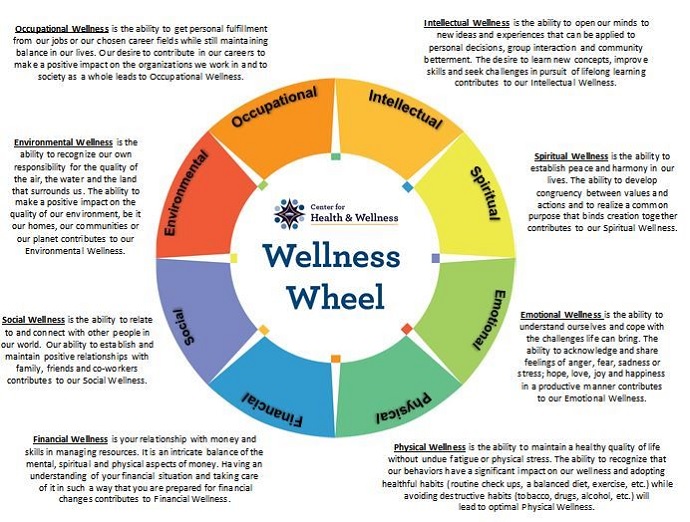 65_Wellness_Wheel.jpg