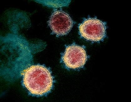 coronavirus.jpg