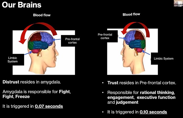 our_brains2.jpg